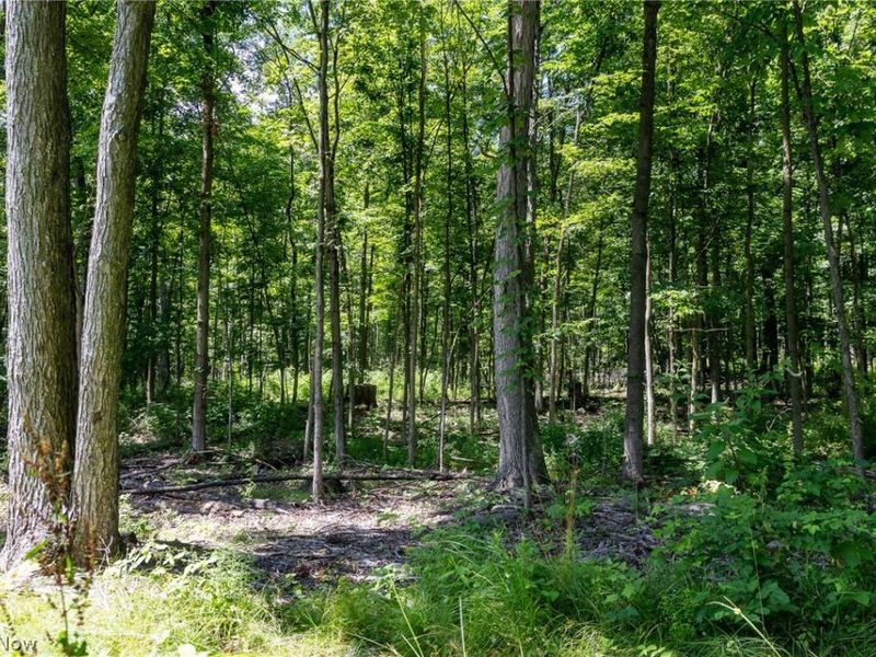 Wayland Road, Diamond, OH 44412 Photo 16