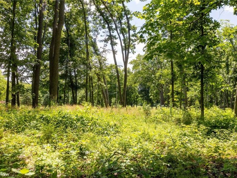 Wayland Road, Diamond, OH 44412 Photo 17