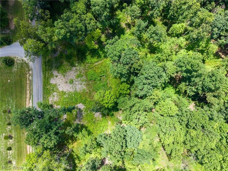 Wayland Road, Diamond, OH 44412 Photo 18