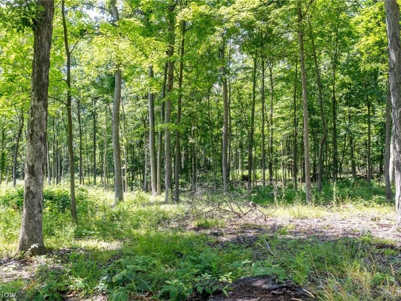 Wayland Road, Diamond, OH 44412 Photo 19