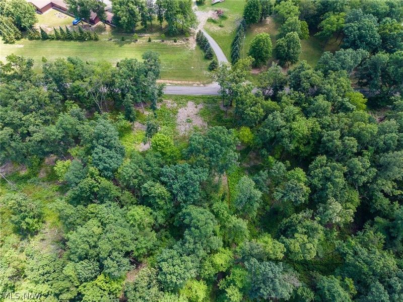 Wayland Road, Diamond, OH 44412 Photo 20