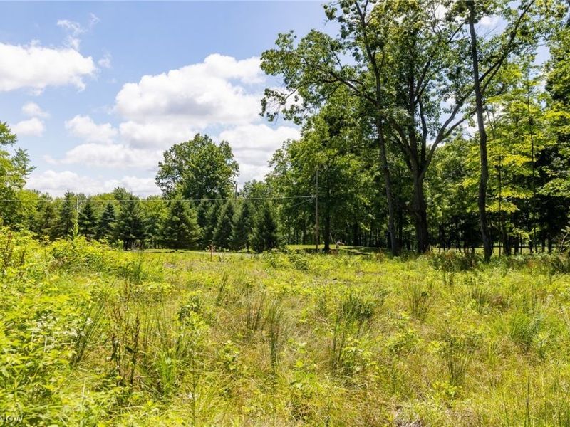 Wayland Road, Diamond, OH 44412 Photo 3