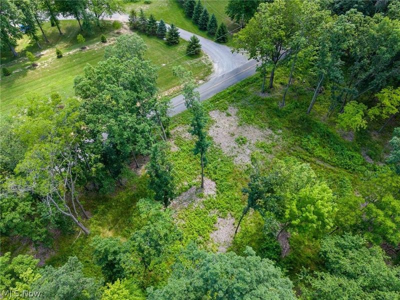Wayland Road, Diamond, OH 44412 Photo 5