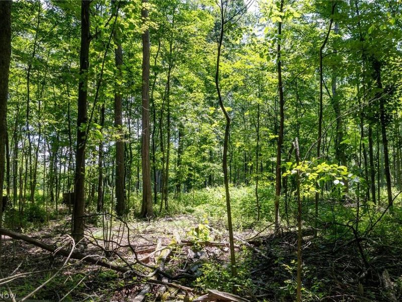 Wayland Road, Diamond, OH 44412 Photo 6