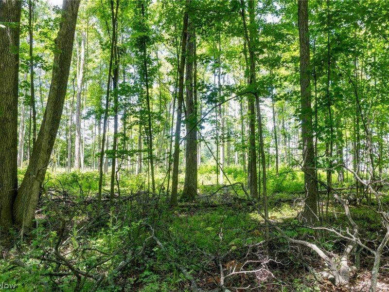 Wayland Road, Diamond, OH 44412 Photo 7