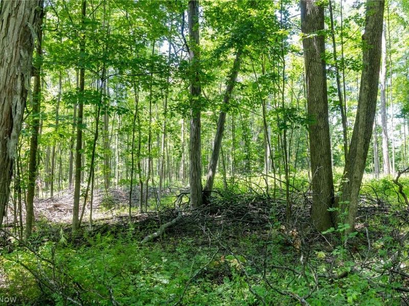 Wayland Road, Diamond, OH 44412 Photo 8