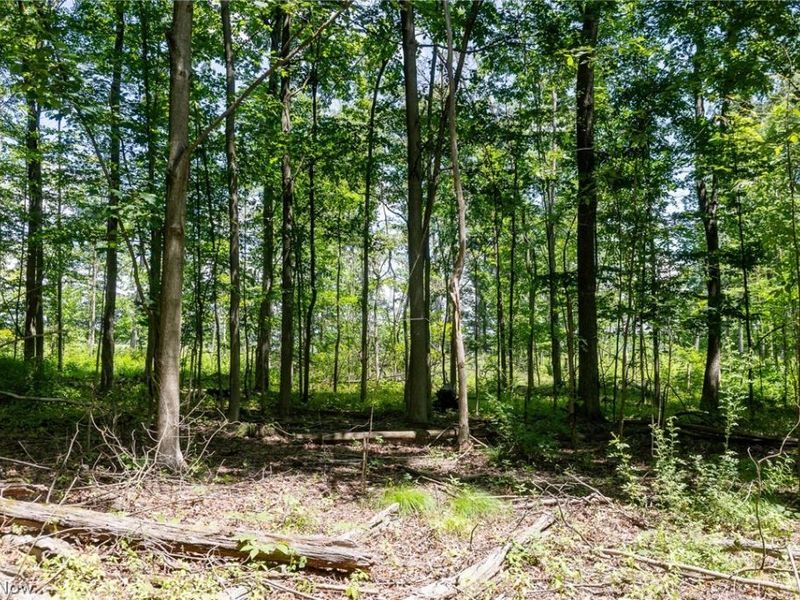 Wayland Road, Diamond, OH 44412 Photo 9