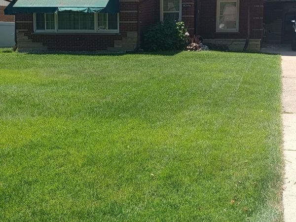 8246 Northcote Avenue, Munster, IN 46321