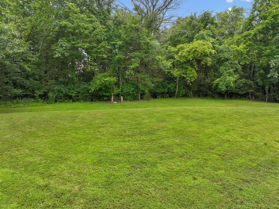 Property Image 81