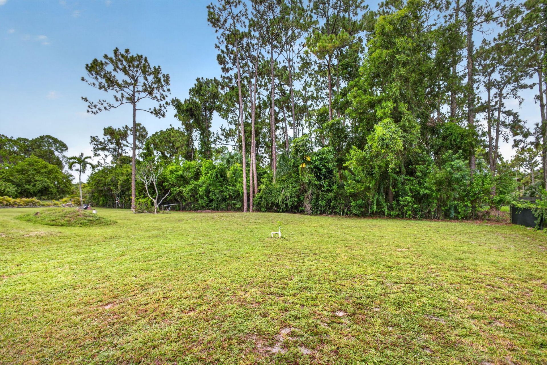 15732 82nd Lane N, The Acreage, FL 33470 Photo