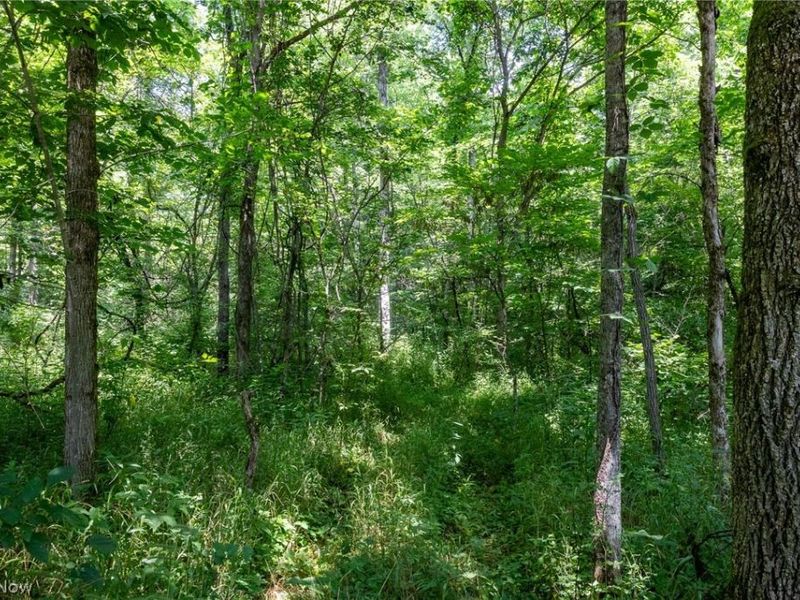 Big Run Road, Cutler, OH 45724 Photo 26
