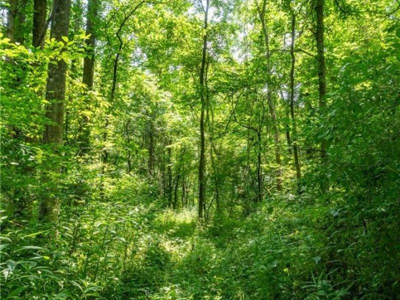 Big Run Road, Cutler, OH 45724 Photo 30
