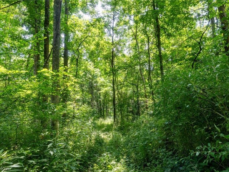 Big Run Road, Cutler, OH 45724 Photo 31