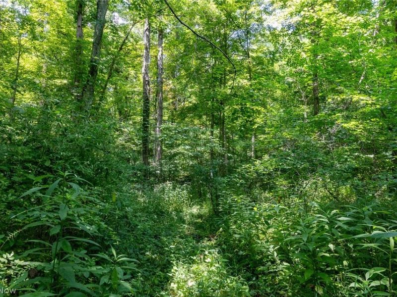 Big Run Road, Cutler, OH 45724 Photo 33