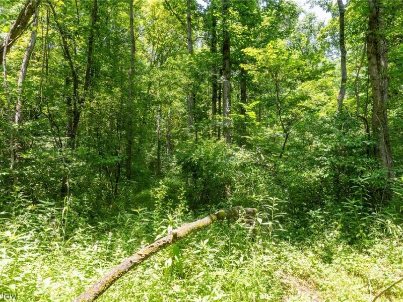 Big Run Road, Cutler, OH 45724 Photo 34