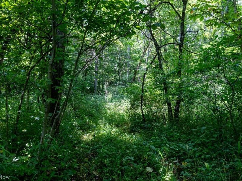 Big Run Road, Cutler, OH 45724 Photo 35