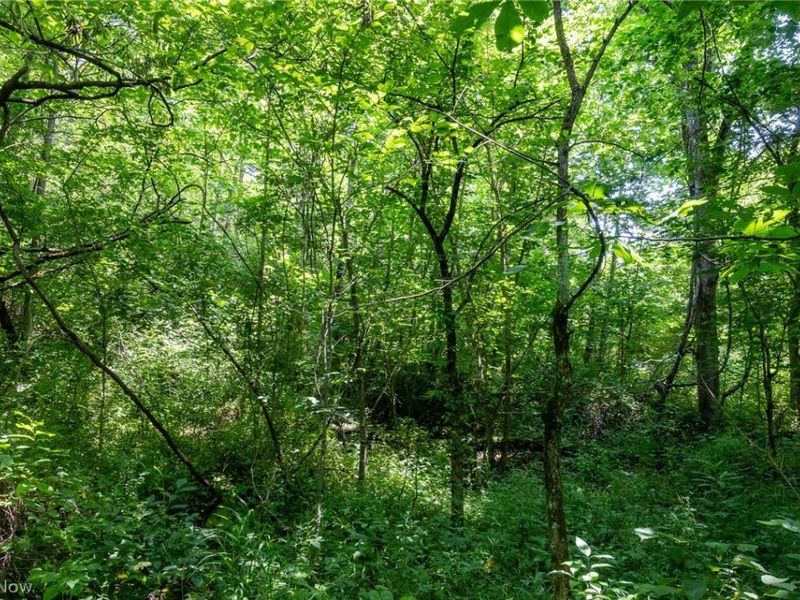 Big Run Road, Cutler, OH 45724 Photo 36