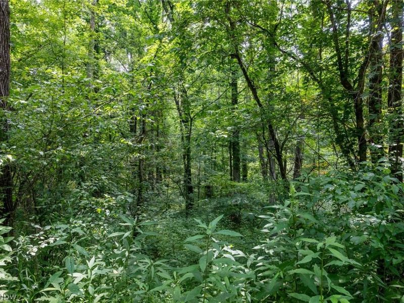 Big Run Road, Cutler, OH 45724 Photo 39