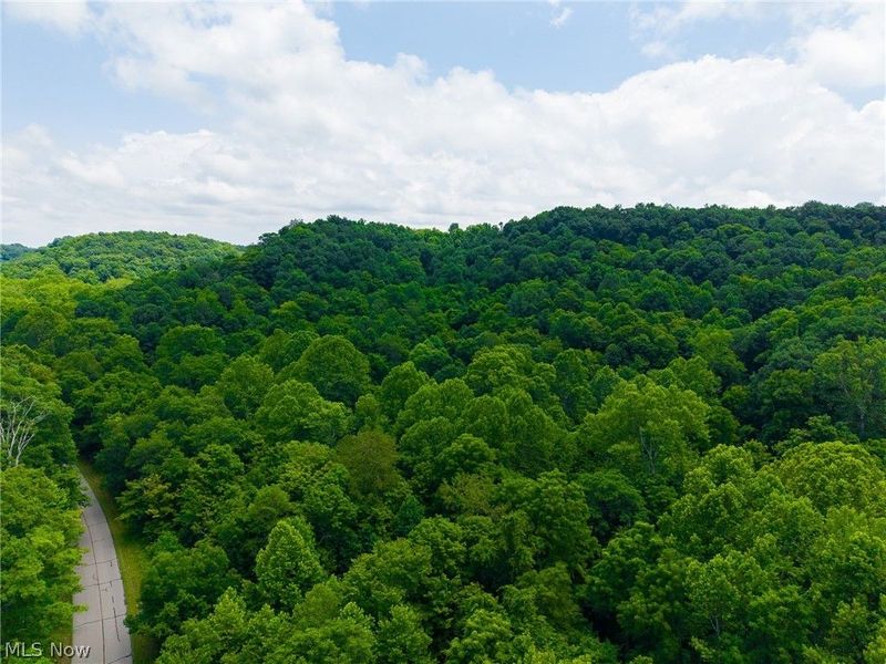 Big Run Road, Cutler, OH 45724 Photo 6