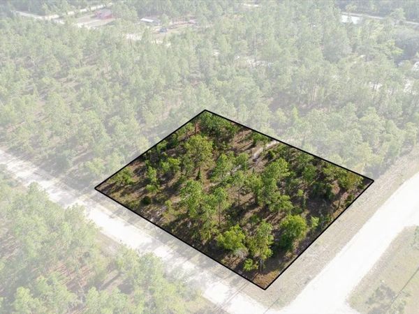 0000 NE 132 TERRACE LOT 1 TERRACE , WILLISTON, FL 32696