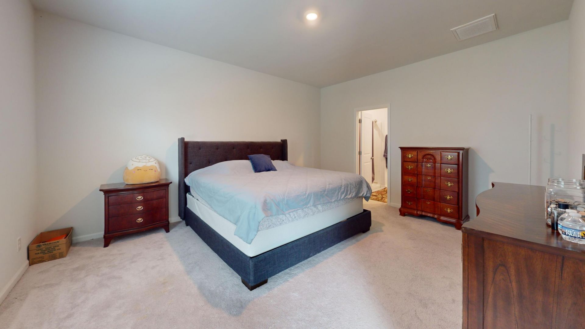 515 Matuskovic Drive Photo 57