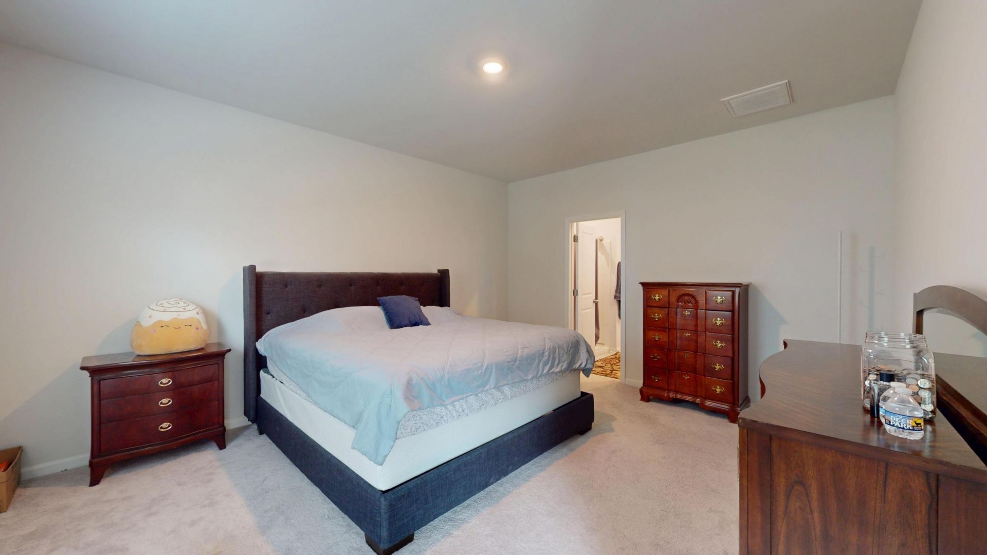 515 Matuskovic Drive Photo 8