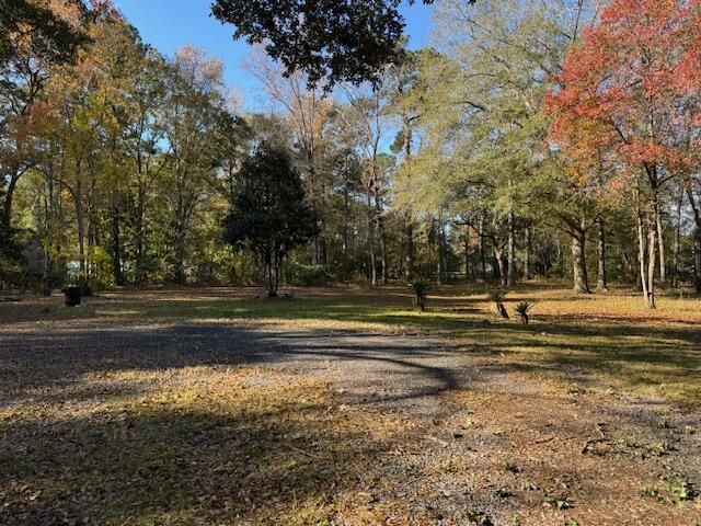 242 Bluebird Lane Photo 11