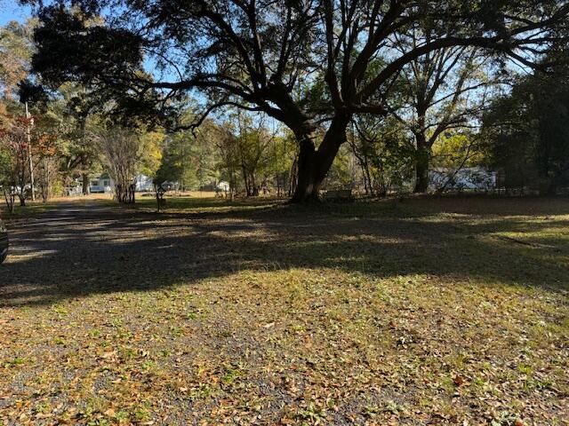 242 Bluebird Lane Photo 12