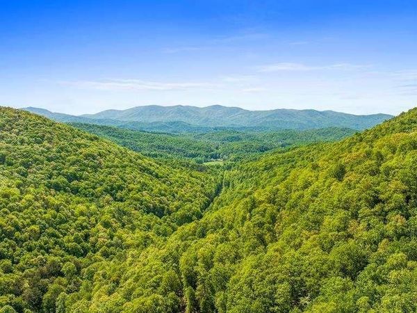 LOT 18 Cub Trail , Cherry Log, GA 30522