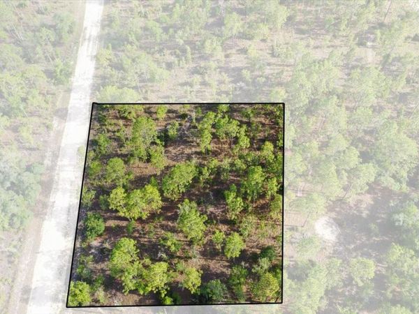 0000 NE 132 TERRACE LOT 2 TERRACE , WILLISTON, FL 32696