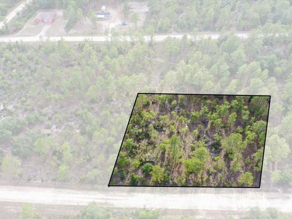 0000 NE 132 TERRACE LOT 3 TERRACE , WILLISTON, FL 32696