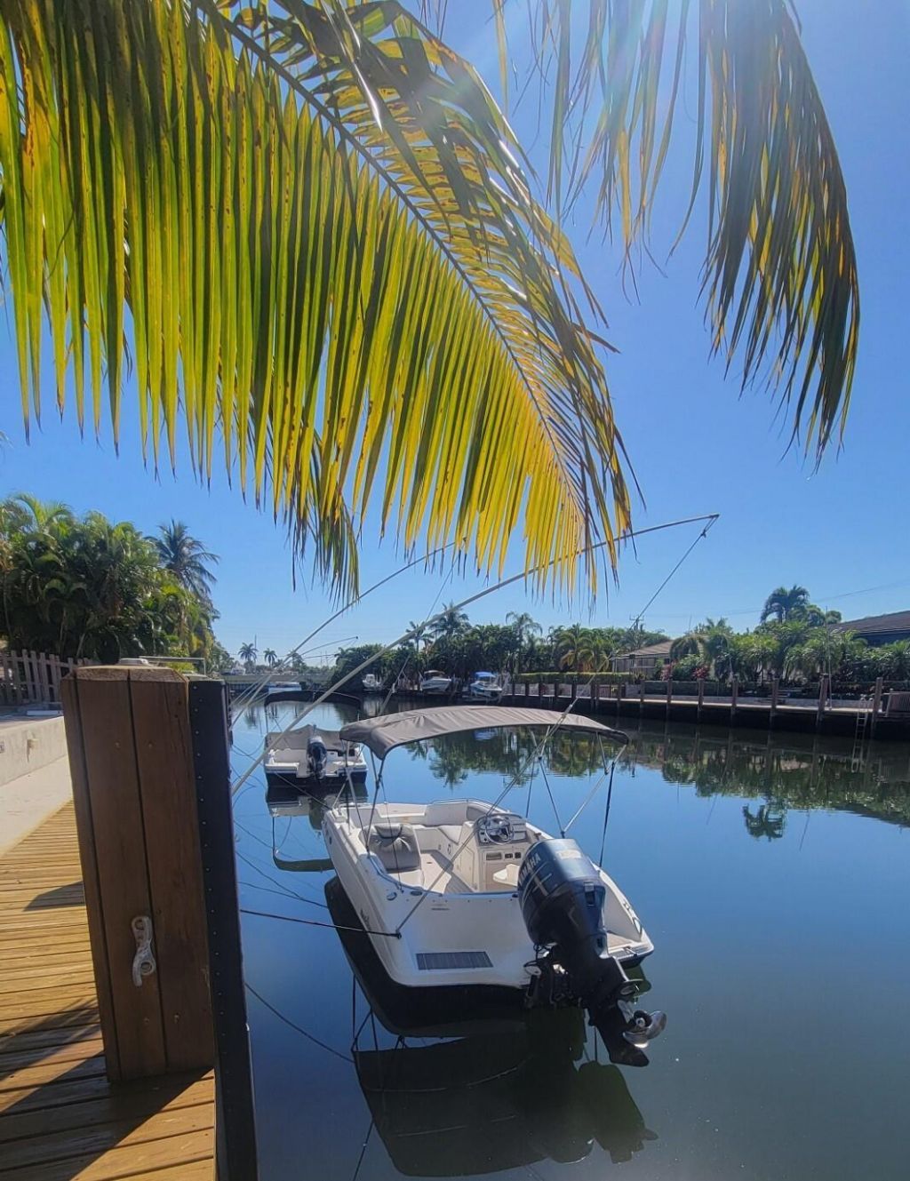 4500 N Federal Highway, Unit 358g, Lighthouse Point, FL 33064 Photo