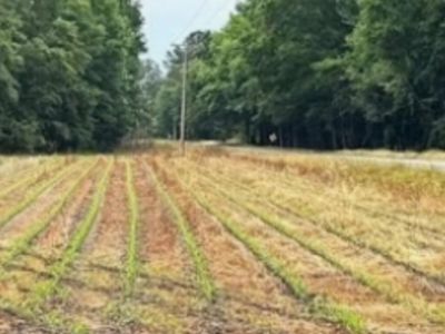 123 Mount Zion Road, Saint George, SC 29477