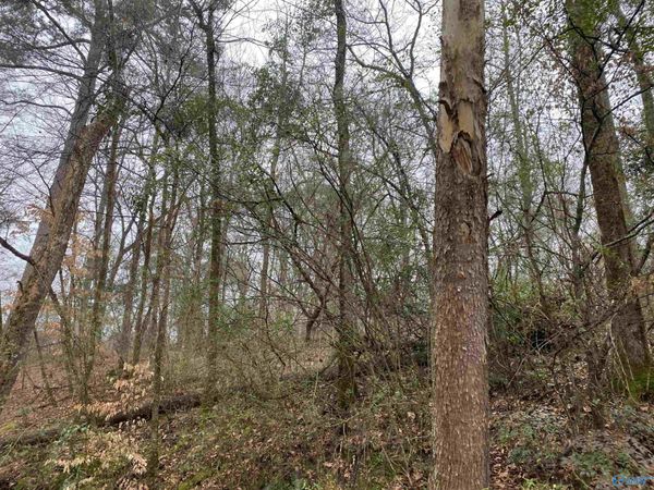 1 Bud Weaver Road, Hartselle, AL 35640