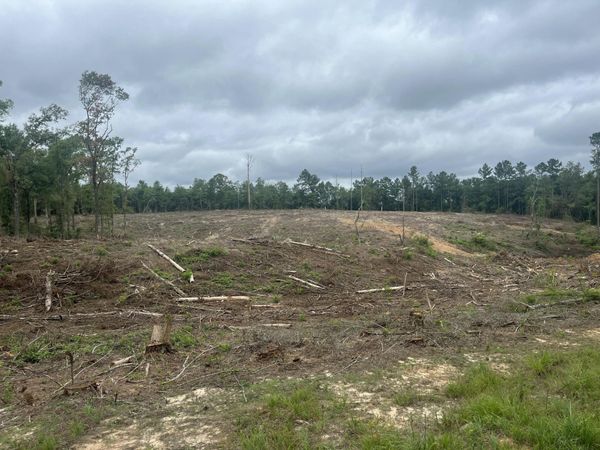 TBD North Ln., Columbia, MS 39429