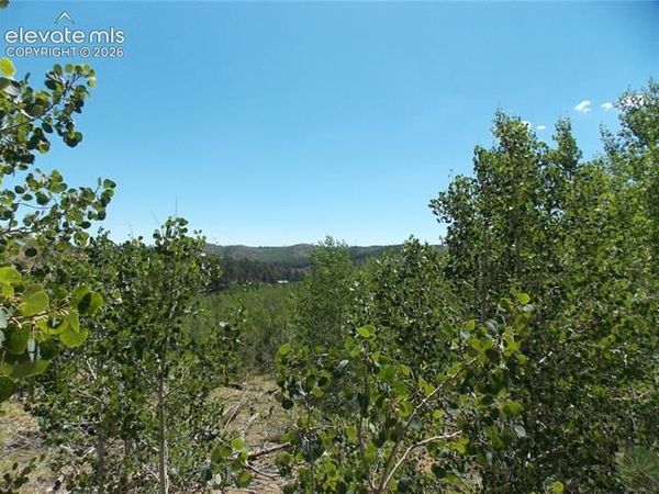 615 Valley Drive, Florissant, CO 80816
