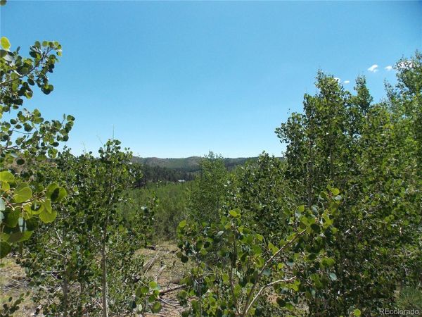 615 Valley Drive , Florissant, CO 80816