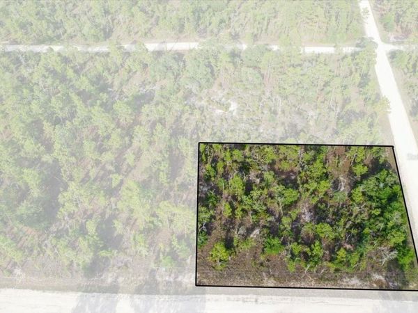 0000 NE 131 TERRACE LOT 6 TERRACE , WILLISTON, FL 32696