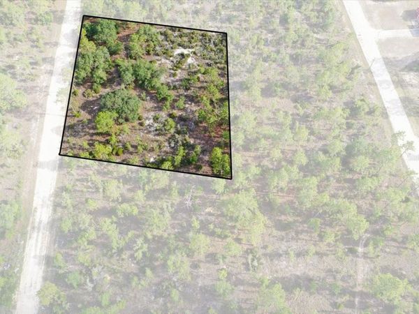 0000 NE 132 TERRACE LOT 4 TERRACE , WILLISTON, FL 32696