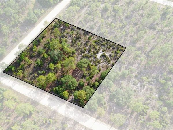 0000 NE 132 TERRACE LOT 5 TERRACE , WILLISTON, FL 32696
