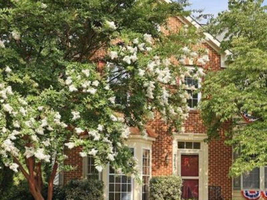 3647 Singleton Terrace, Frederick, MD 21704 Main Photo