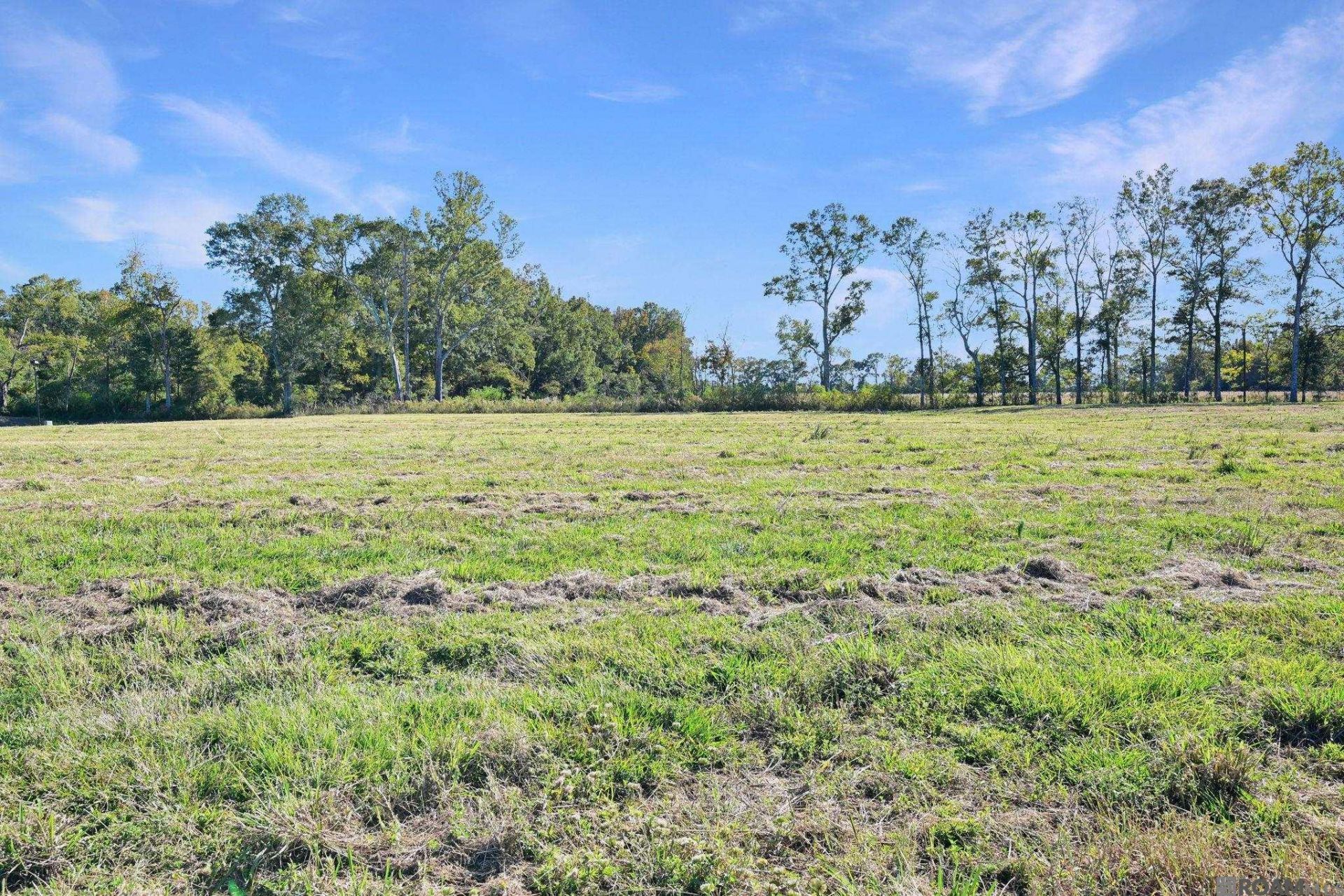 Lot 34 Duncan Ave, Jackson, LA 70748 Main Photo