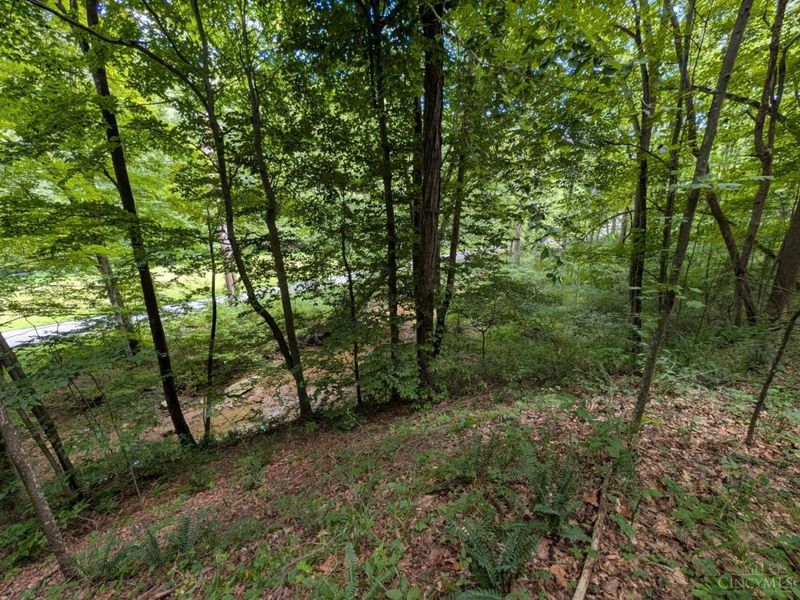 8.307 Ac Churn Creek Road, Jefferson Twp, OH 45616 Photo 2