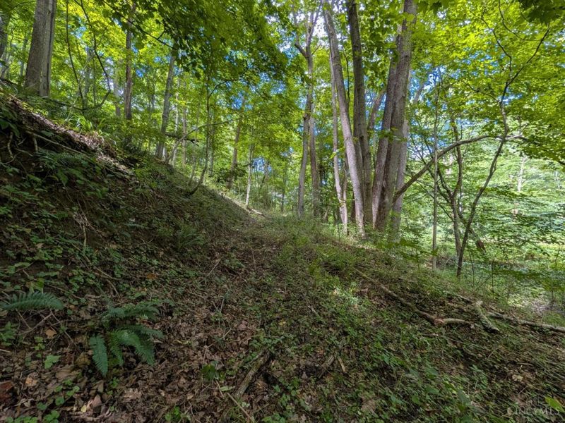 8.307 Ac Churn Creek Road, Jefferson Twp, OH 45616 Photo 9