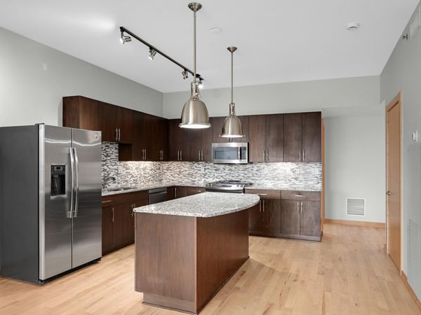 1120 S 2nd Street, Unit 316, Minneapolis, MN 55415