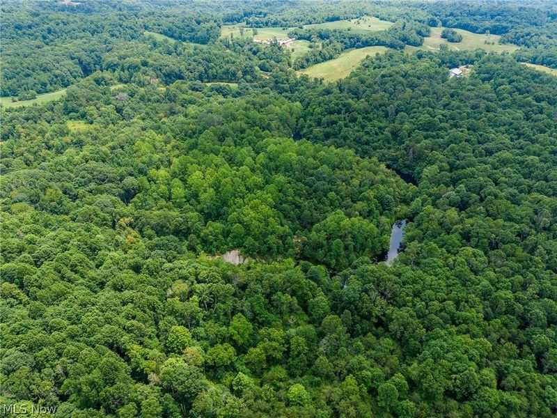 Peaker Run Road, Macksburg, OH 45746 Photo 28