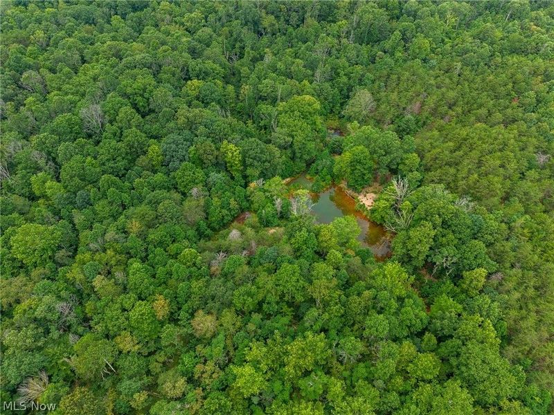 Peaker Run Road, Macksburg, OH 45746 Photo 36