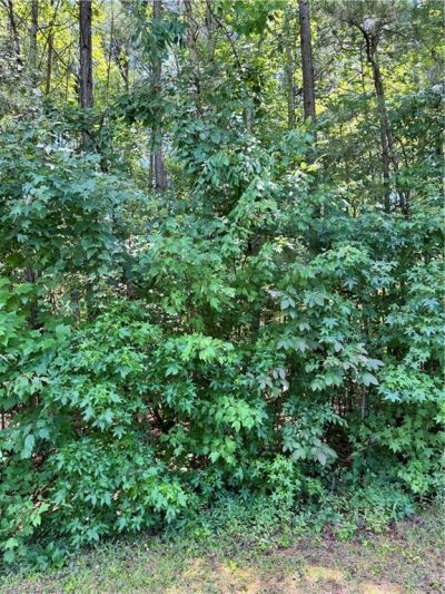 Na Warrior Way, Lexington, NC 27295 Main Photo
