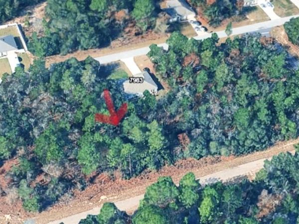 7970 N Bahama Terrace , Dunnellon, FL 34433