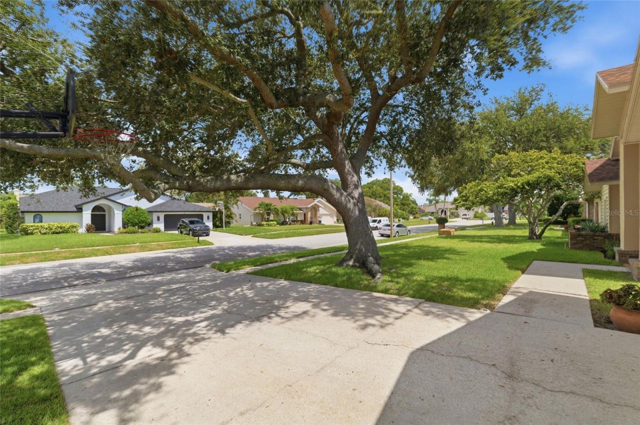3367 E Lake Shore Lane , Clearwater, FL 33761 Photo